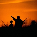 Two hunts standing in the high grass during a reddish orange sunset, and pointing toward the sky.