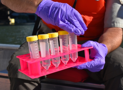 Biologists prepare tubes for water samples during an eDNA sampling event.