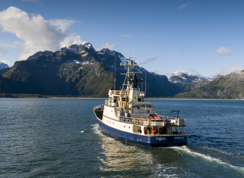 Blue and white ship sails towards land over calm blue waters and a blue sky with a few clouds.