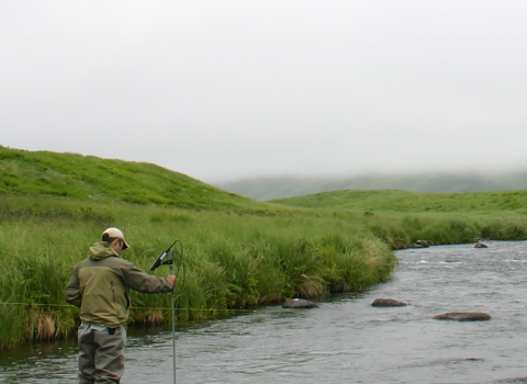 Looking up a stream with a hydrographer holding a wading rod making a streamflow measurement.