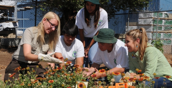 several youths stooping to look at refuge manager showing orange flower garden