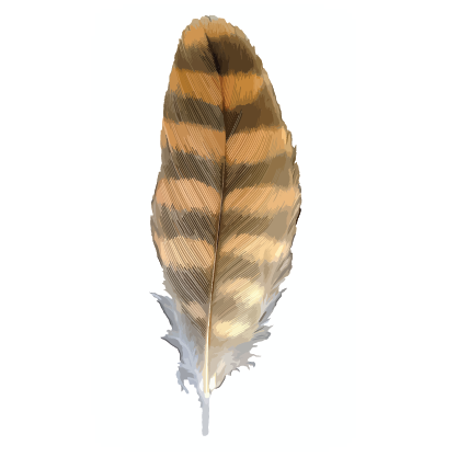 Brown and Black Feathers, 5 inches, 2 per bag - #4-2