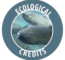Blue circle with the words Ecological Credits and an image of Chinook salmon.