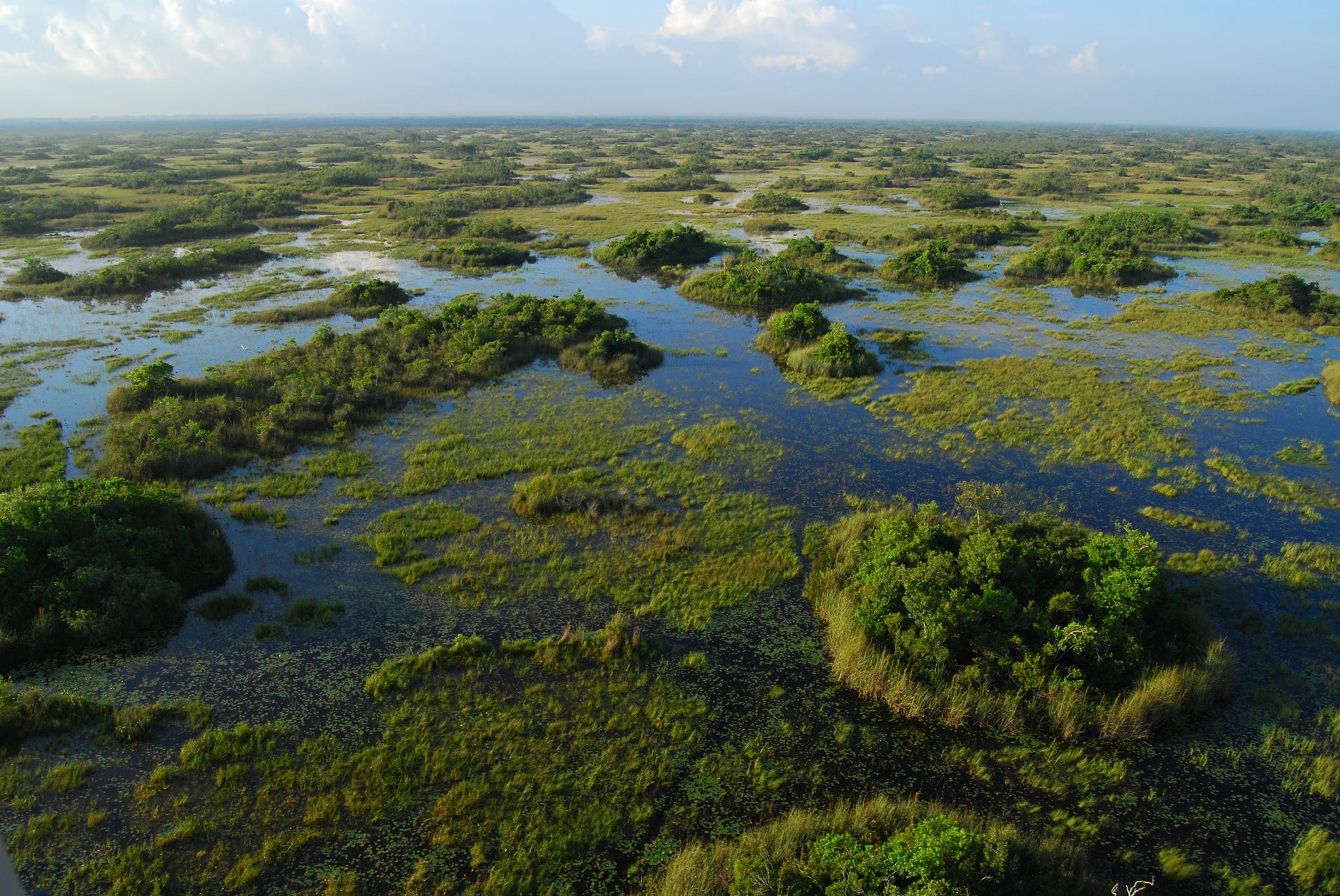 Everglades habitat at Arthur R. Marshall Loxahatchee National Wildlife ...