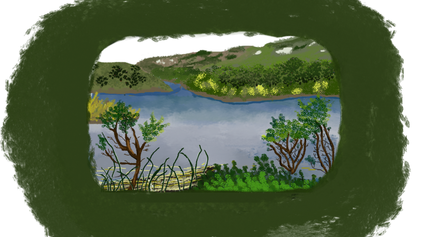 Western Pond Turtle Habitat Illustration 