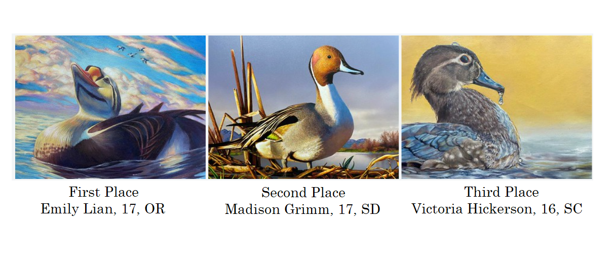 Junior Duck Stamp 2024 Winning images FWS.gov