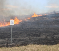 Prescribed Burn at the Wallkill River NWR