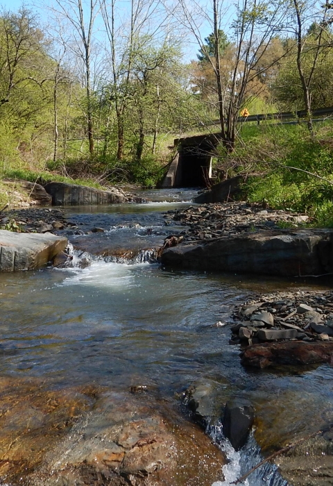 A small stream flows under a bridge in a wooded area.