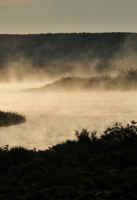 Mist rises off a river at sunrise.