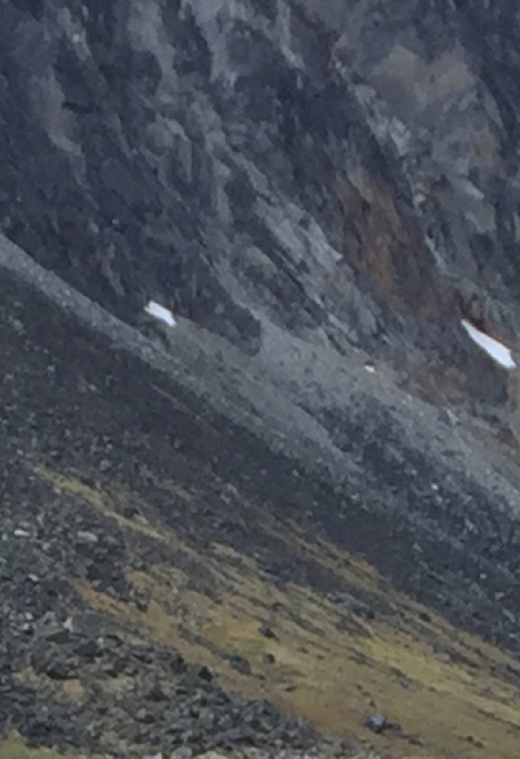 The side of a mountain and small airplane.