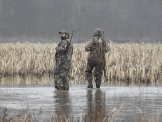 An image of two hunters walking in water. 