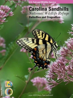 An image of the cover for the refuge butterfly and dragonfly brochure.