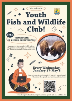 Flyer with the USFWS logo, a photo of two bison, and a drawing of a person with a laptop. Text: Join us for the: FREE Youth Fish and Wildlife Club! www.fws.gov/education-programs/virtual-youth-fish-and-wildlife-club Geared towards youth ages 8-12 but ALL are welcome! Check out the agenda and meeting information: Every Wednesday, January 17-May 8 Virtual with In-person opportunities Learn about winter and wildlife safety, fish, pollinators, foraging and wild foods, the National Eagle Repository and more!