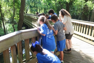 Photograph of Jr Ranger Camp Students looking over the boardwalk at Cypress Trail