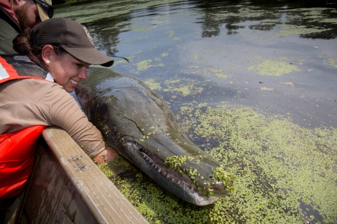 woman holding an alligator gar boatside