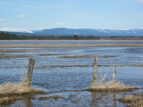 Looking across a lake that is spotted with vegetation toward the mountains, an old fence runs across the foreground.