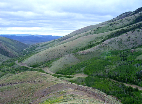 Image of a mountain canyon dotted with sagebrush, pine trees and aspen.