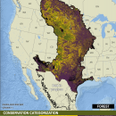 The center of the continental US is colored purple, yellow, and green stretching from northern Mexico to Canada. Splotches of green form a line from New Mexico to Alberta showing the cores of intact grasslands. Expanding outward from the green are swaths of yellow, mixed with green and purple. Yellow indicates at-risk grasslands and touches several US states including Iowa and Texas, and Alberta. The purple area, depicting plowed land, tree encroachment is the largest area from Mexico to Alberta to Illinois