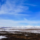 Snow covering a charred landscape with snow capped mountains in the background.