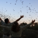 A crowd of people with their arms open stand in front of a flock of bats at dusk