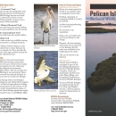 An image of the cover for the refuge brochure.