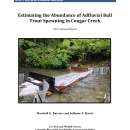 Estimating the Abundance of Adfluvial Bull Trout Spawning in Cougar Creek