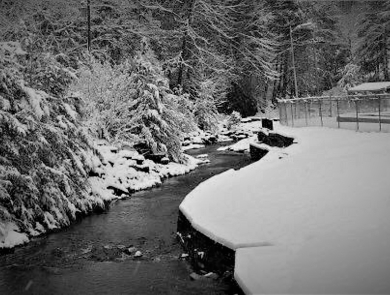 A creek meandering between snow covered banks