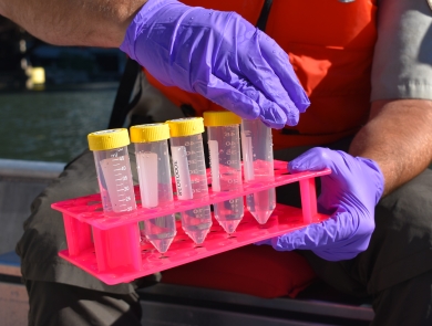 A biologist holds a tray of plastic tubes of water samples in gloved hands.