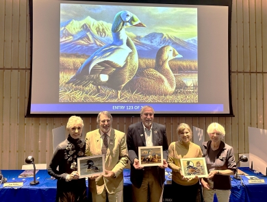 Judges at the 2024 Federal Duck Stamp Art Contest hold the winning artwork.