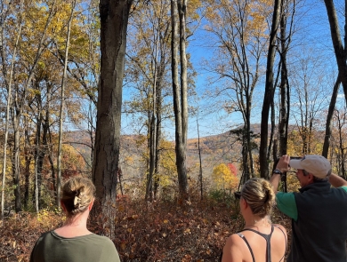 three people with their backs to the camera view mountains through trees with fall colors