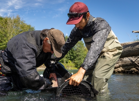 Service intern, Eric Klingberg, holding a fish containment bag as a biologist inserts a floy tag into a salmon.