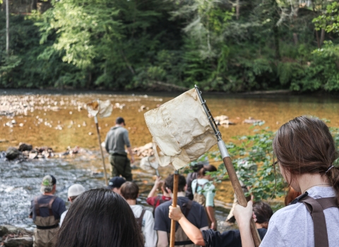 Several people walking into a river