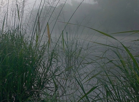 A young hunter in a camouflage cap crouching in talk grass next to a body of water