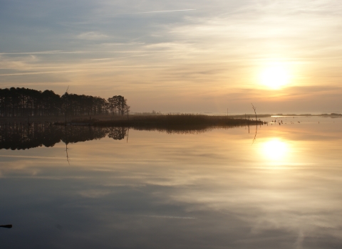 The sun goes down on a snowless but wintry-looking day and reflects against the blue-gray water of the Blackwater River in the image's foreground. On the horizon line, a stand of trees and marsh grass is visible.