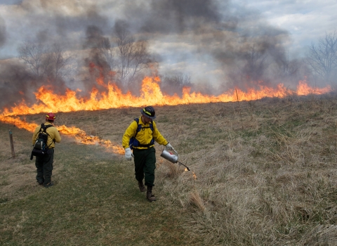 Fire crew setting fire to the field for a prescribed fire