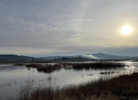 A picture of Wapato Lake filled with water at Wapato Lake National Wildlife Refuge