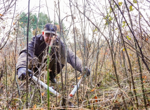 Man kneeling down, using loppers to cut small stems