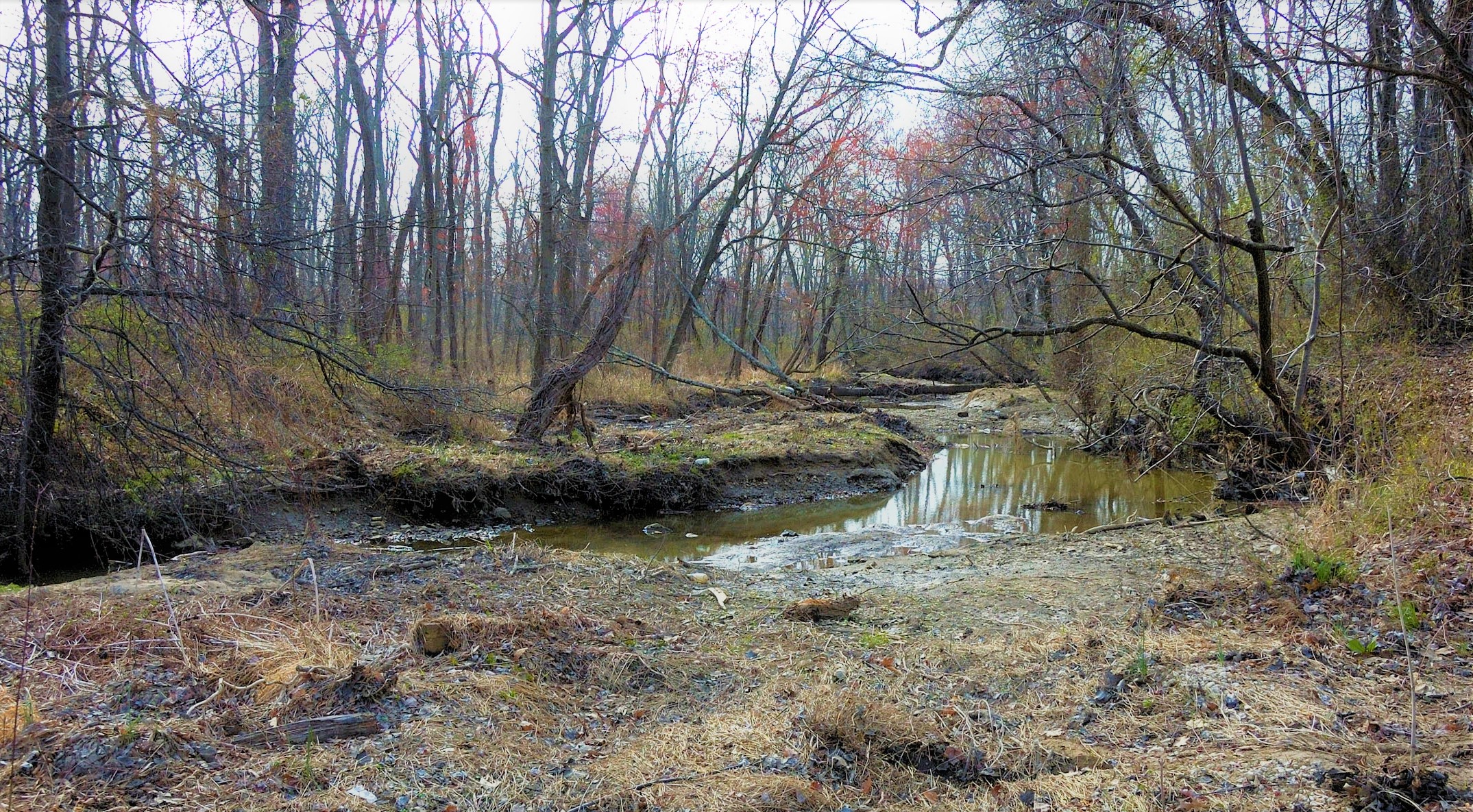 Farm Creek at Featherstone NWR | FWS.gov