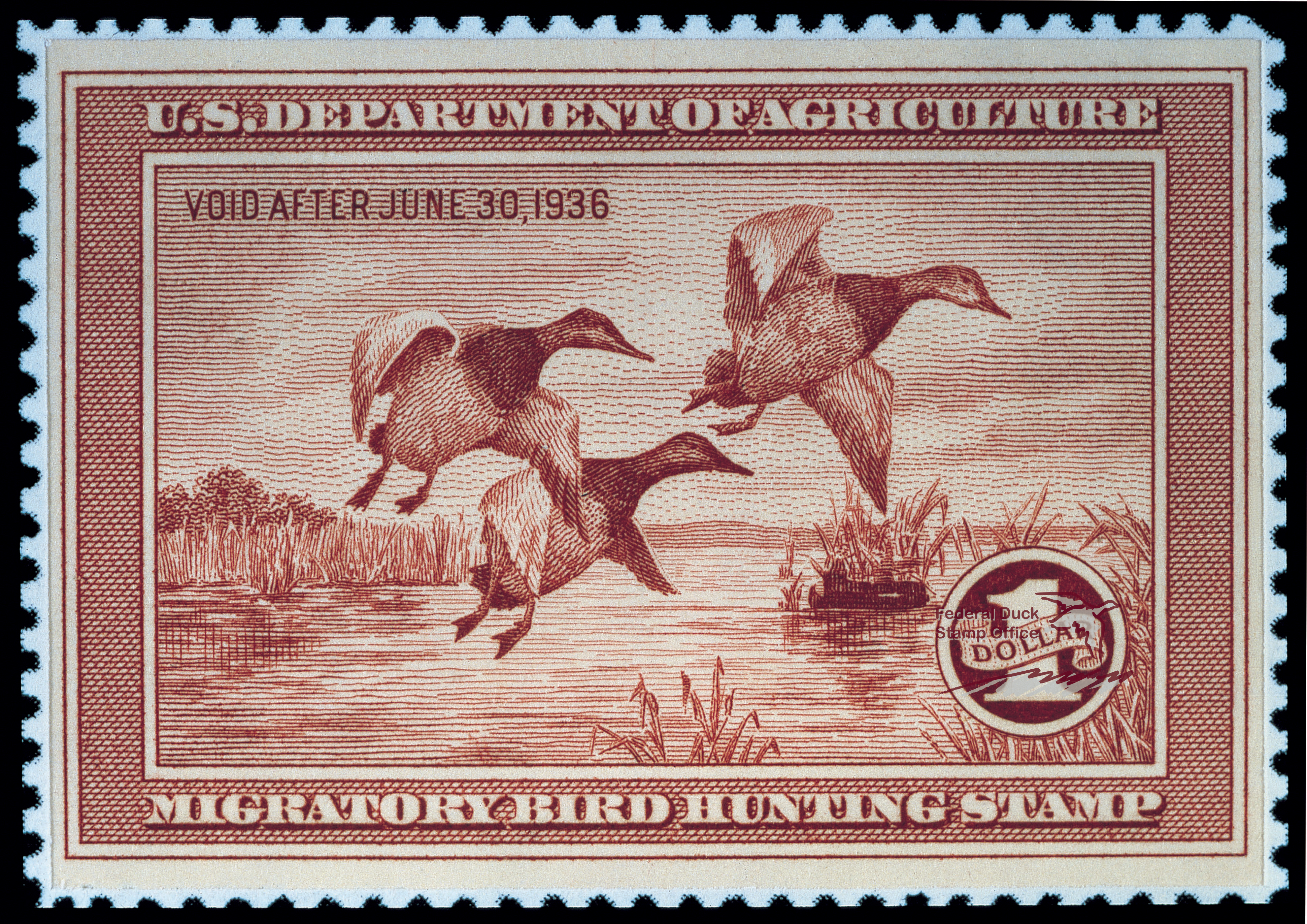 Duck Stamp 1935 1936 FWS.gov