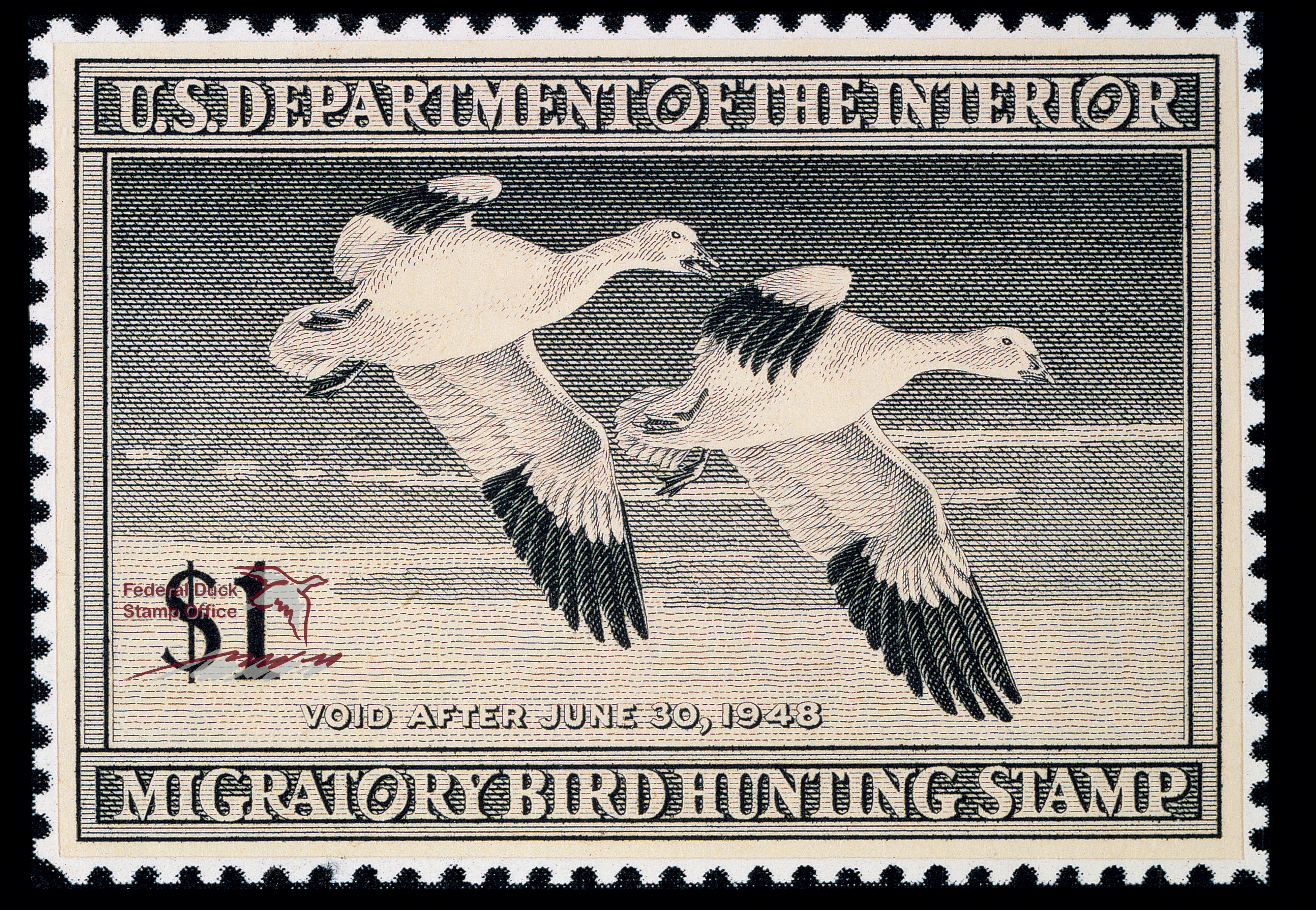 Duck Stamp 1947 1948 FWS.gov