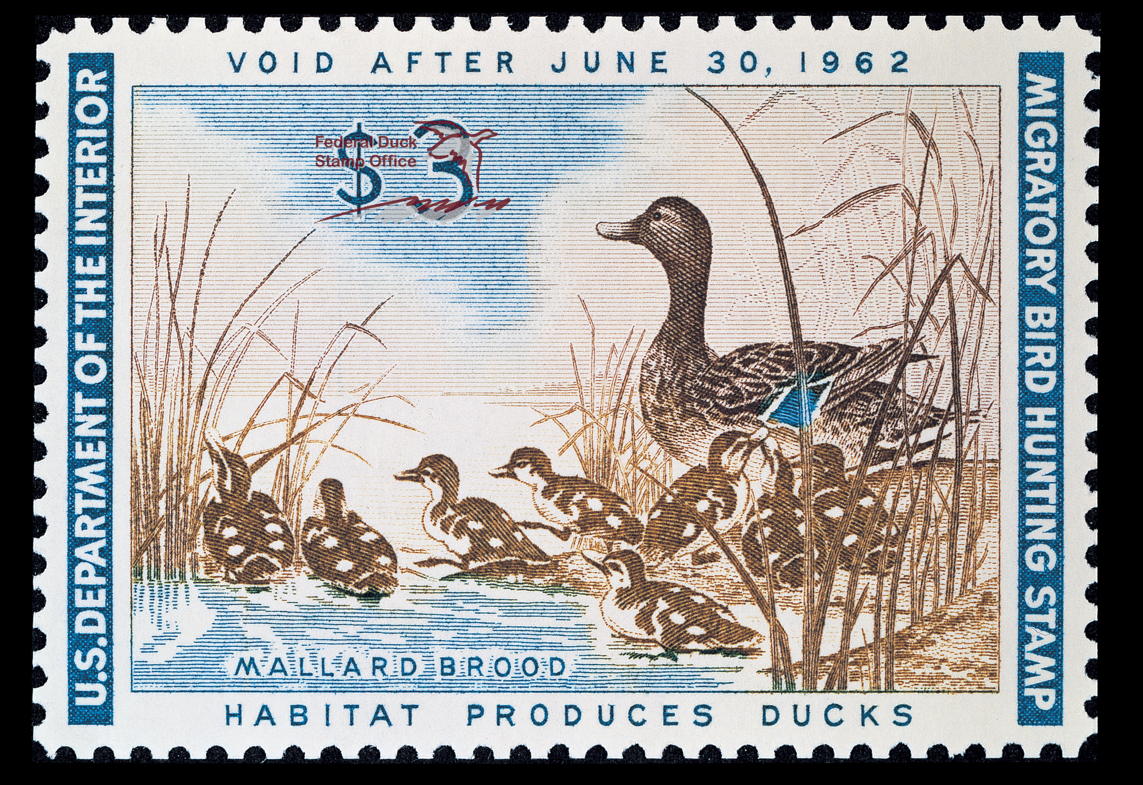 Duck Stamp 1961 1962 FWS.gov