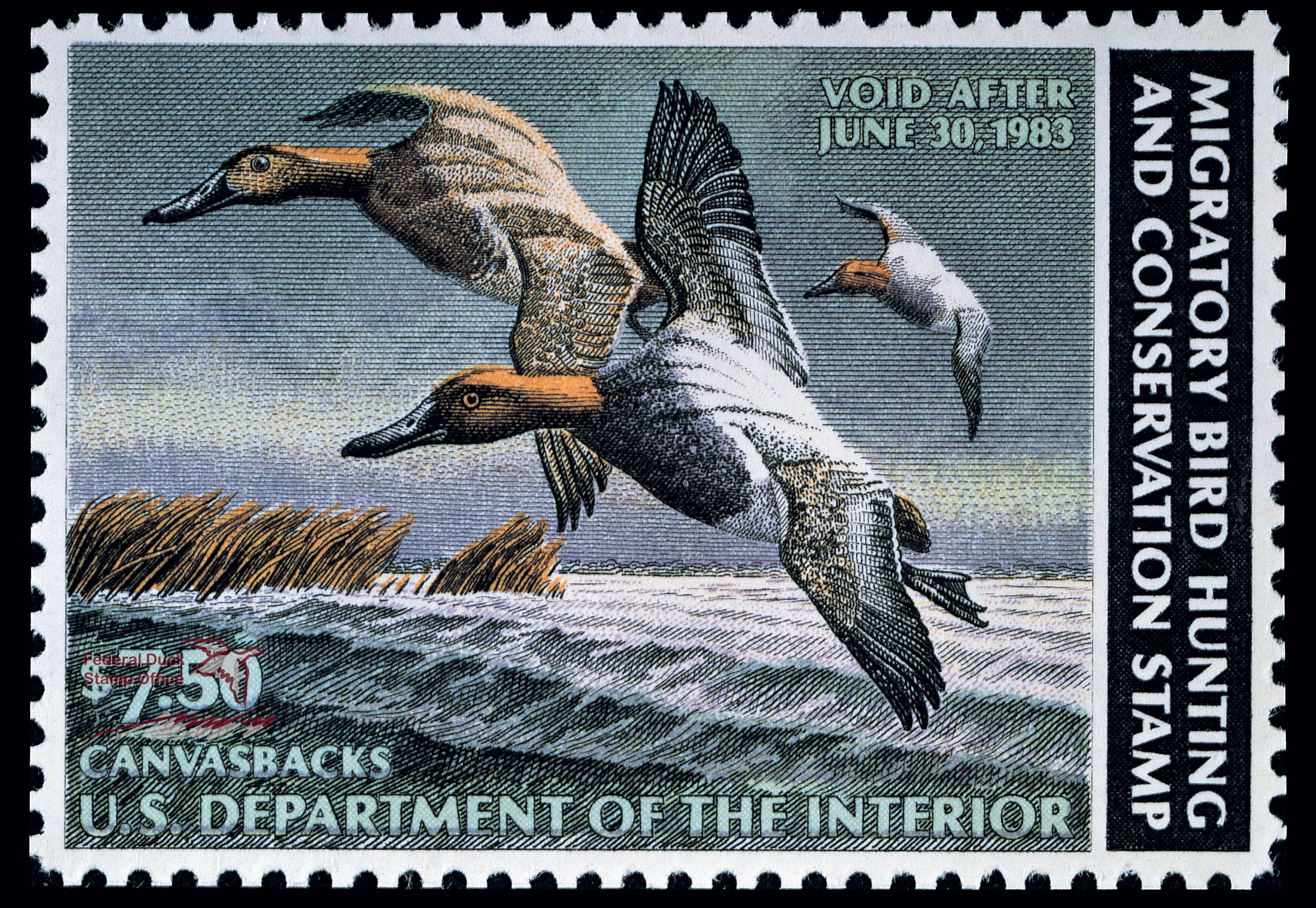 Duck Stamp 1982 1983 FWS.gov