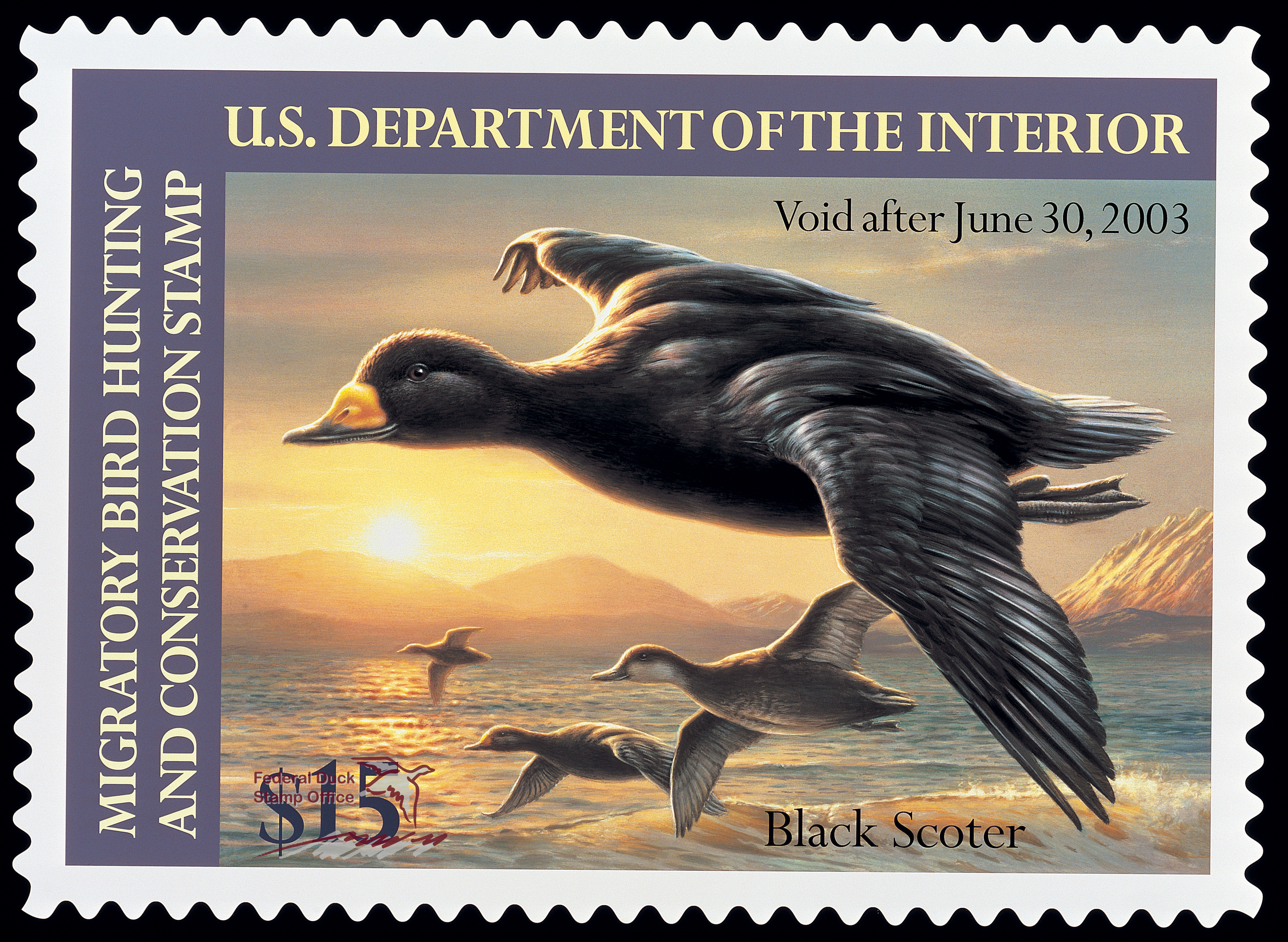 Duck Stamp 2002 2003 FWS.gov