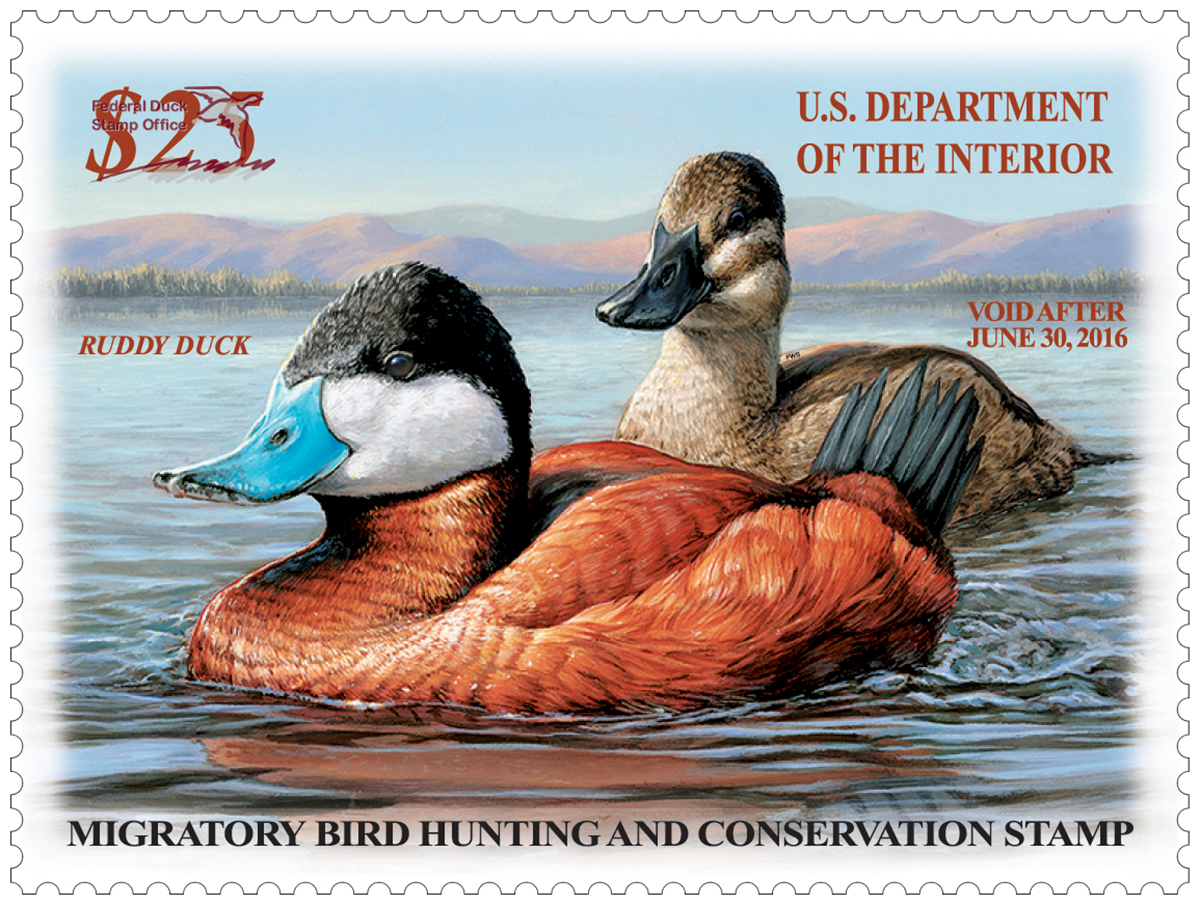 Duck Stamp 2015 2016 FWS.gov