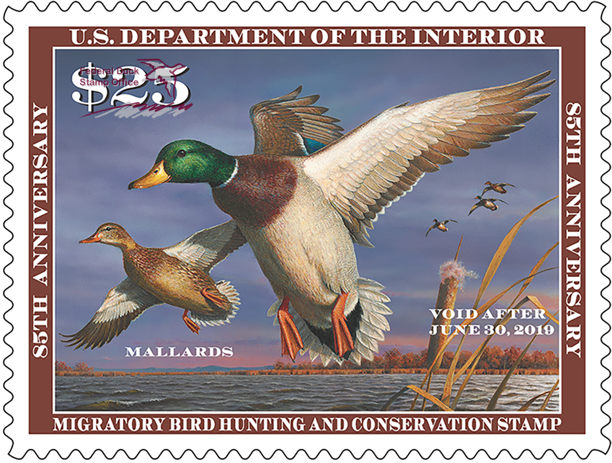 Duck Stamp 2018 2019 FWS.gov