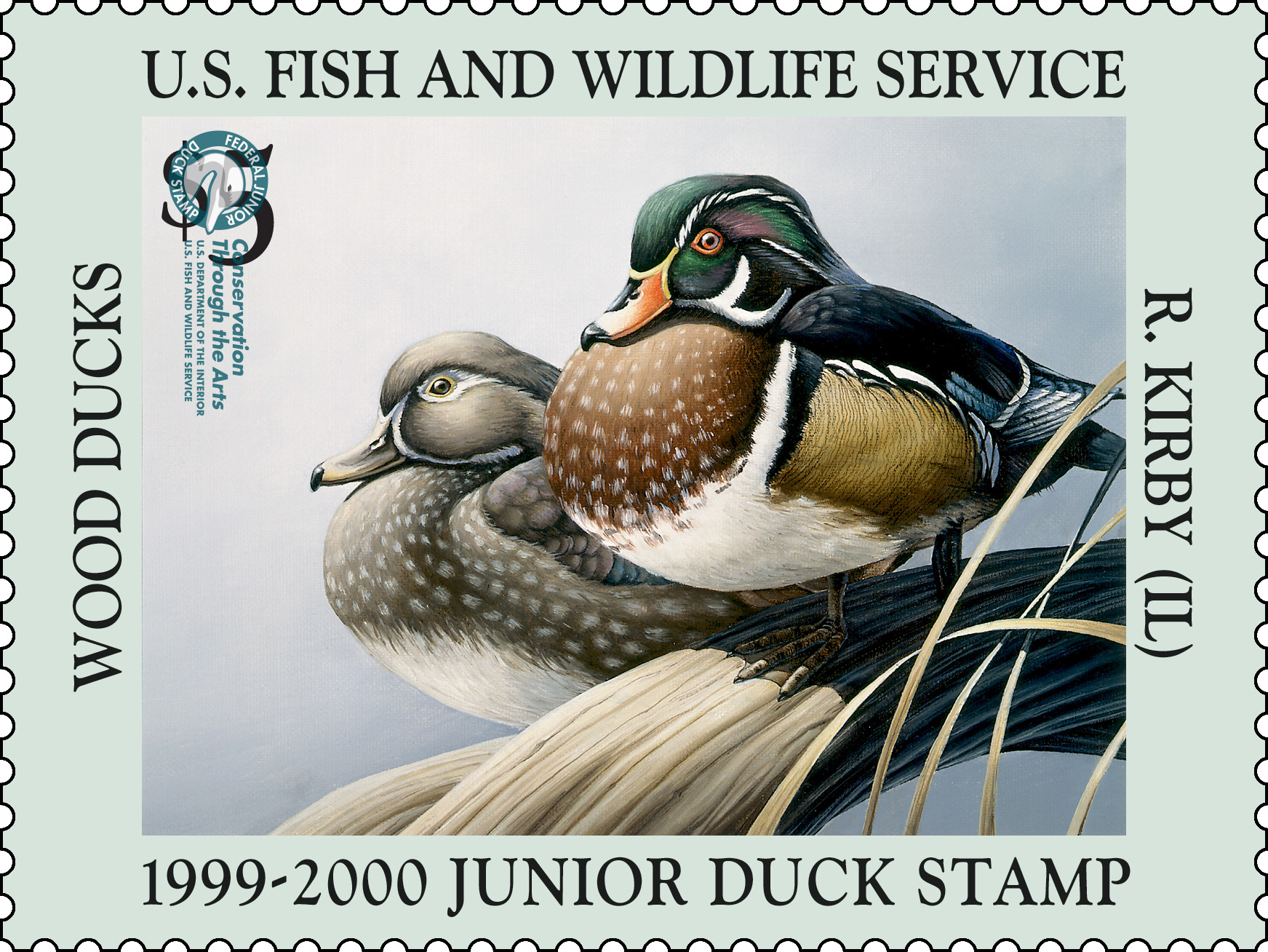 Junior Duck Stamp 1999 2000 FWS.gov