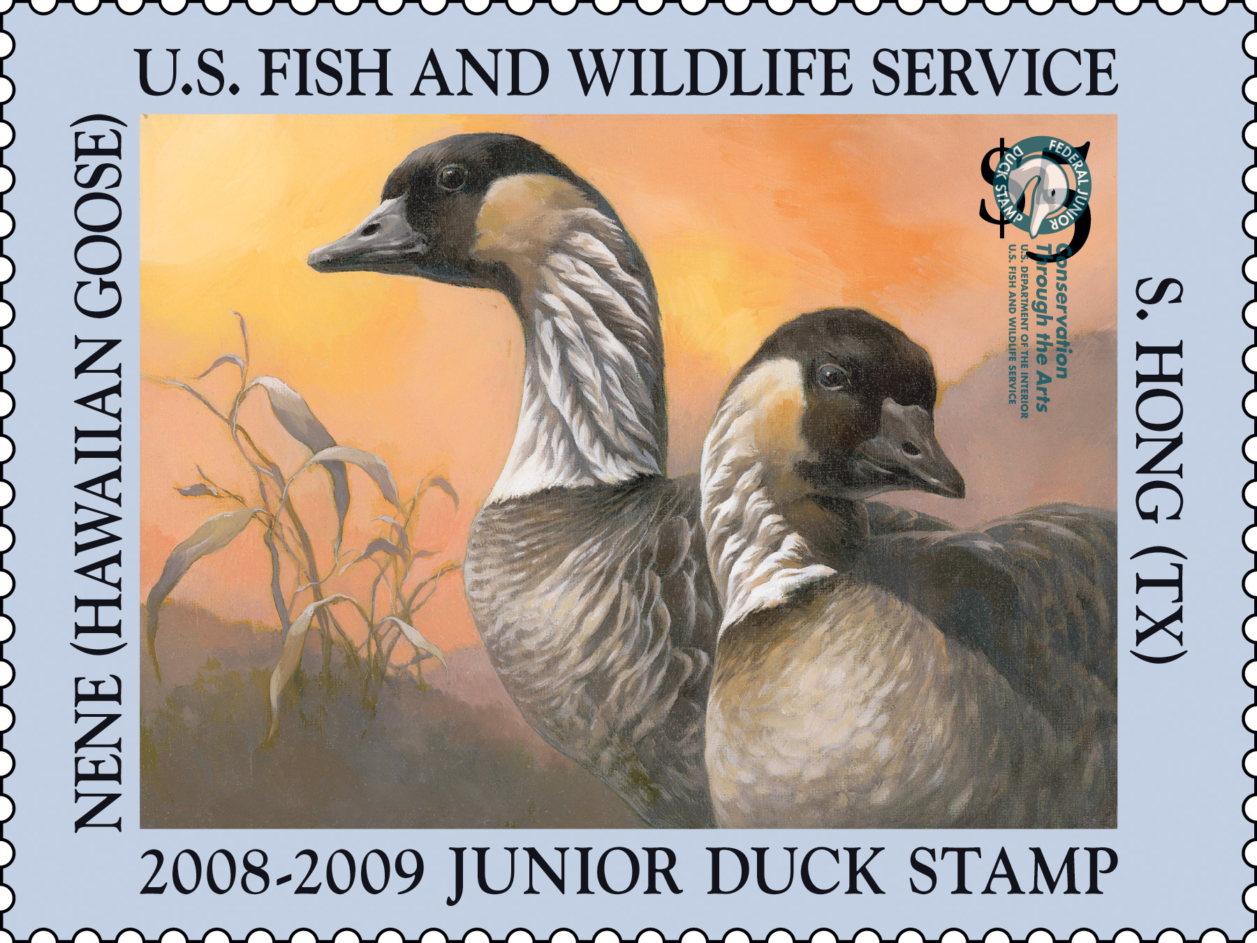 Junior Duck Stamp 2008 2009 FWS.gov