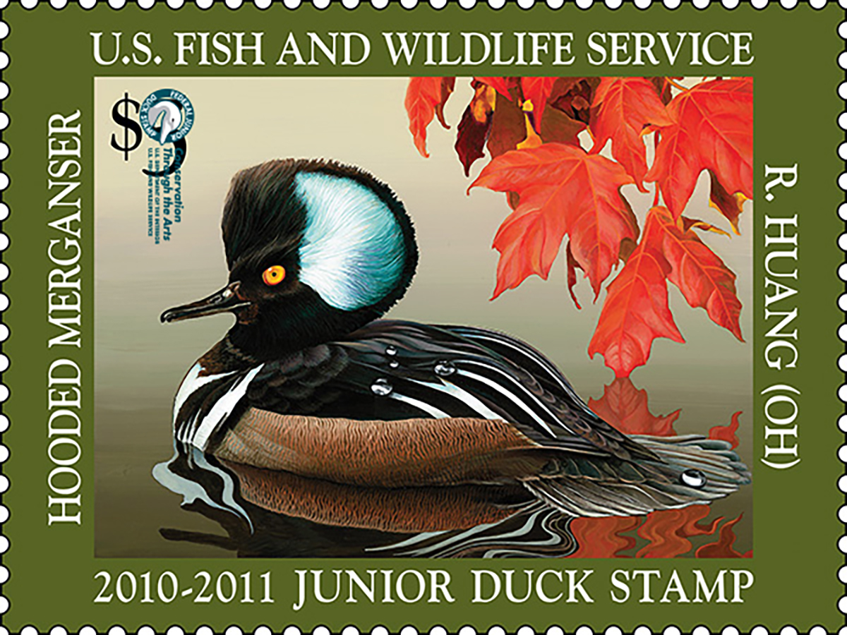 Junior Duck Stamp 2010 2011 FWS.gov