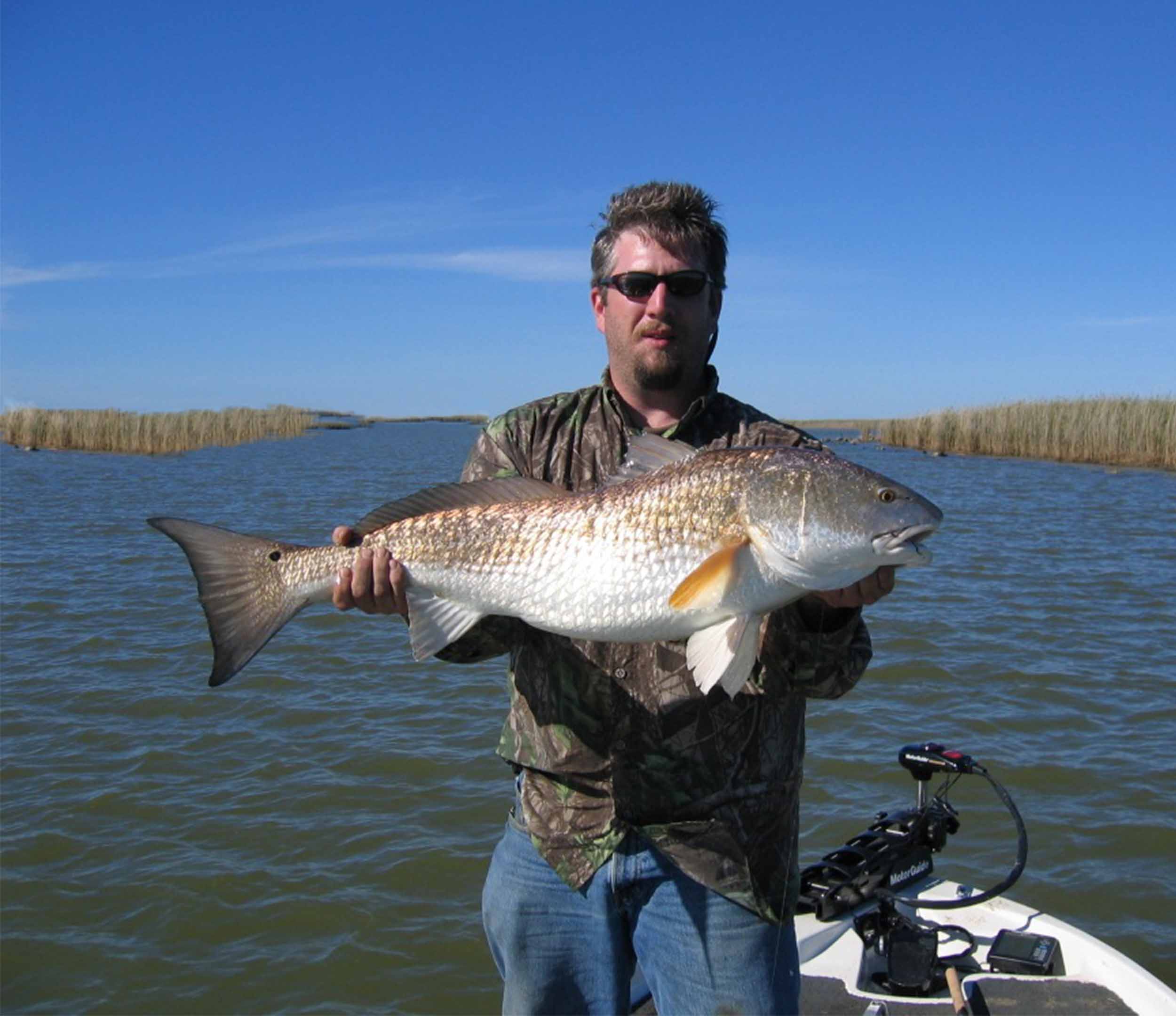 Red Drum Delirium - Fishing for red drum in the mid-Atlantic - Anglers  Journal - A Fishing Life