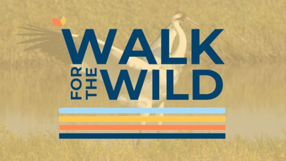 walk_for_the_wild_w1200.jpg FWS.gov